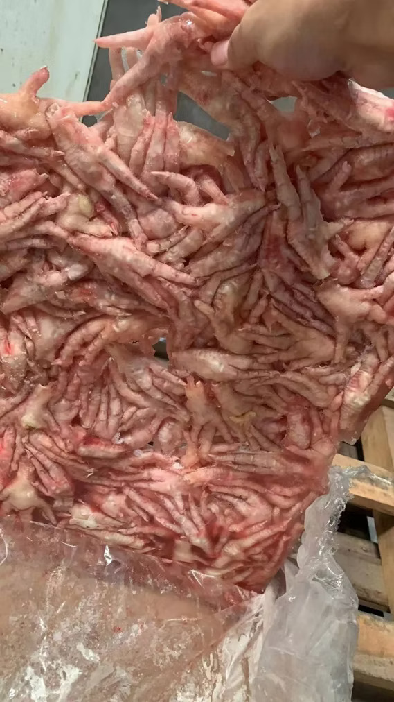KOCH FOODS LLC Frozen Chicken Paws - Image 2